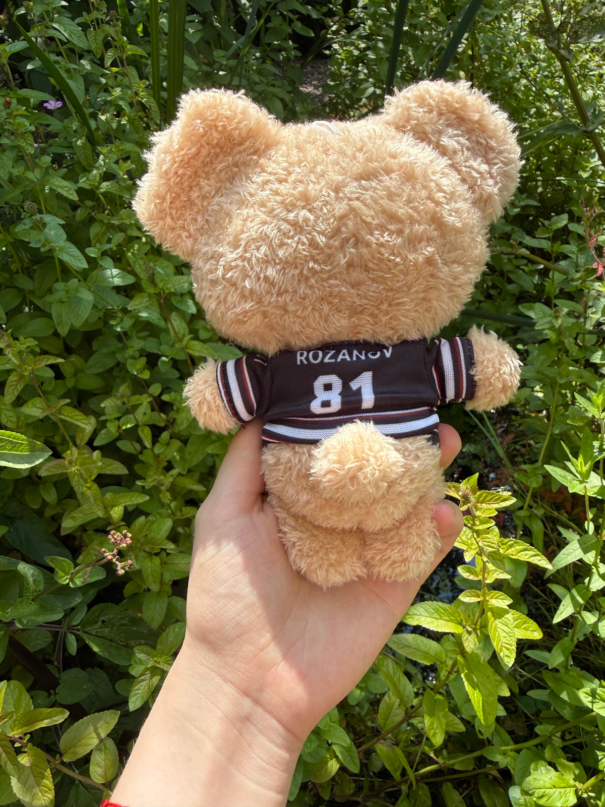 Hollanov Plushies, Shane and Ilya