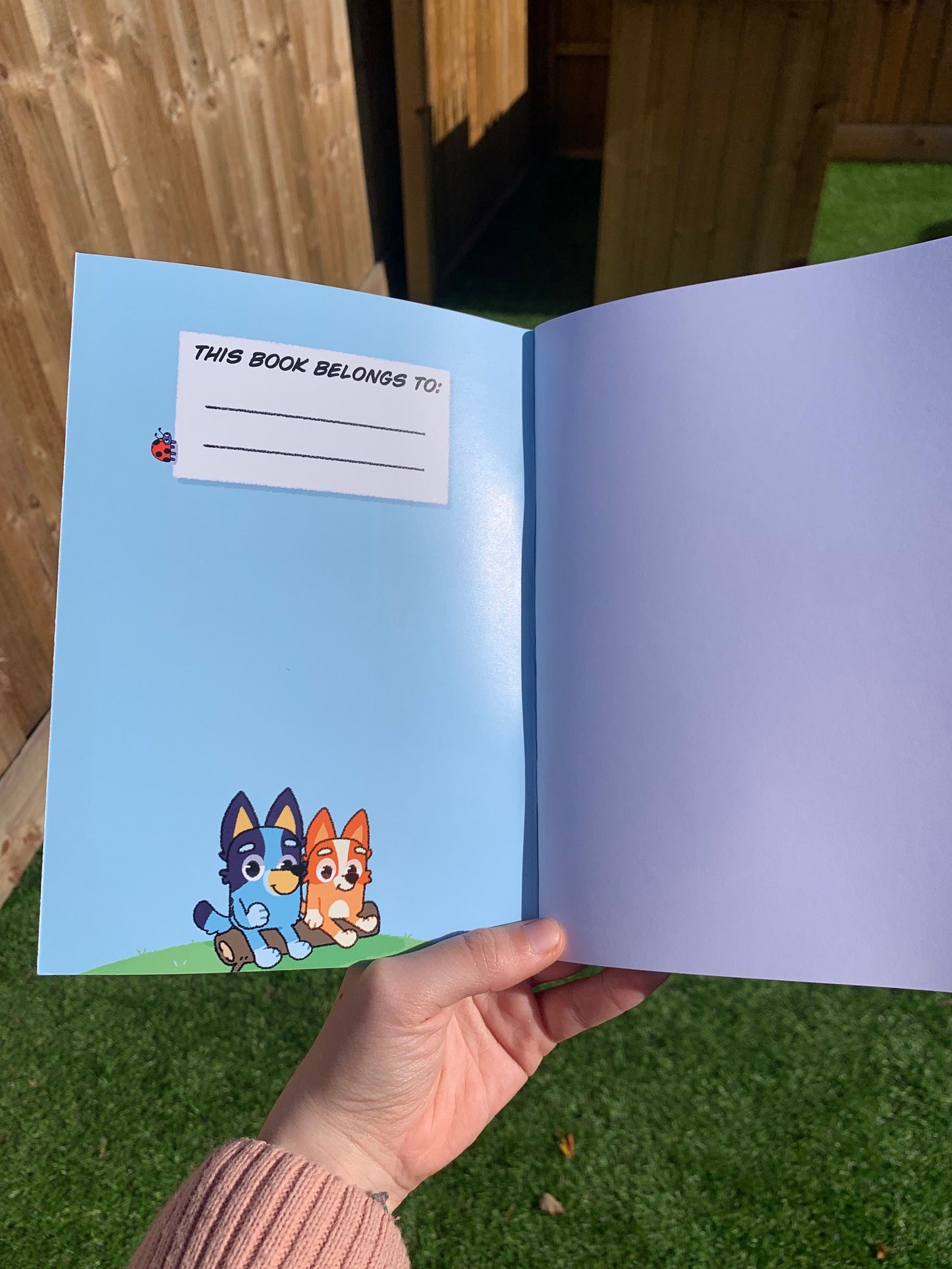 Bluey notebook